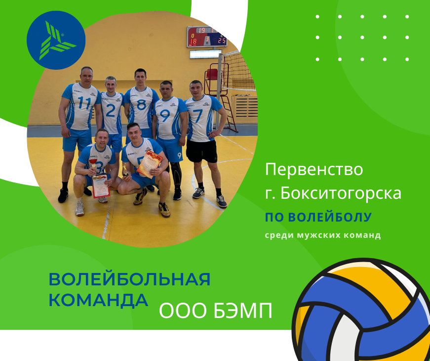волейбольная команда ООО БЭМП 2023 Первенство Бокситогорска(5)